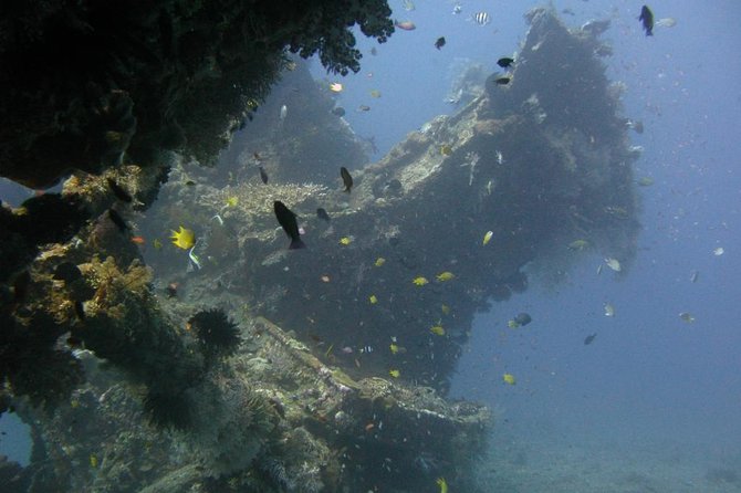 2 PADI Certified Dives at Tulamben from Bali - Coral Garden is your first underwater check