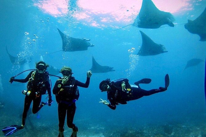 3 Epic Dives in Nusa Penida - Certified Divers' Day Trip - Key points for your Nusa Penida day