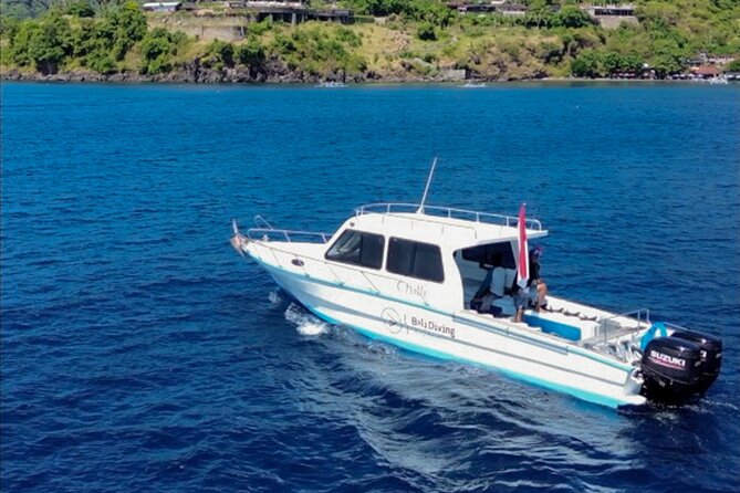 3 Epic Dives in Nusa Penida - Certified Divers' Day Trip - From Sanur harbor to the island
