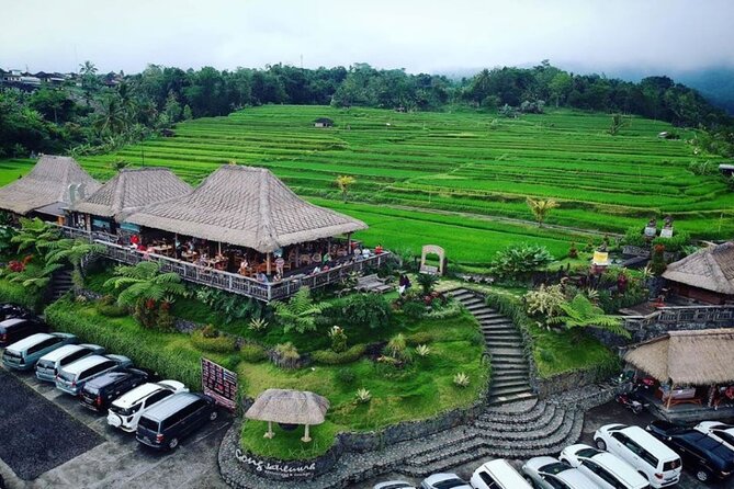 4-Hour Private Tour in Jatiluwih Terraces and Butterfly Park - Bali Butterfly Park: a gentle first stop