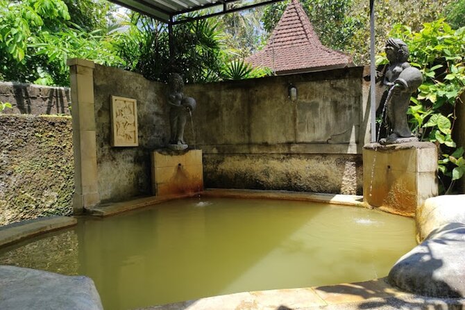 4-Hour Private Tour in Jatiluwih Terraces and Butterfly Park - Penatahan Hot Spring for a slower finish