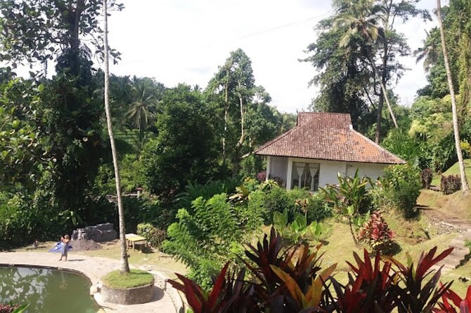 4-Hour Private Tour in Jatiluwih Terraces and Butterfly Park - Timing, traffic, and the private-car advantage