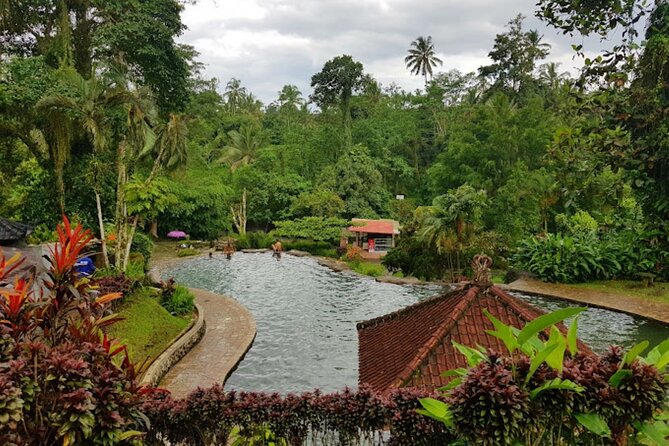 4-Hour Private Tour in Jatiluwih Terraces and Butterfly Park - Who should book this experience