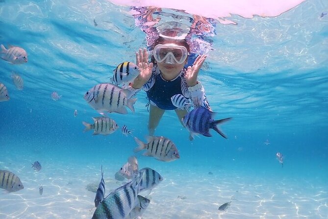 (ALL- IN) Bali Snorkeling Blue Lagoon with Waterfall Visit - The Long Day and What to Pack