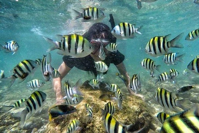 All Inclusive Bali Snorkeling Blue Lagoon tour experience - Lunch after the morning on the water