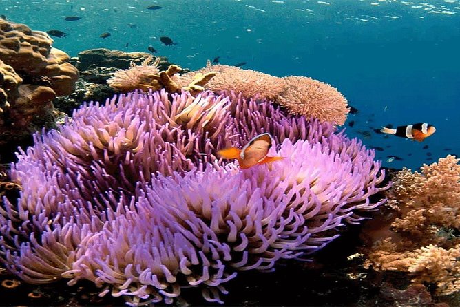 All Inclusive Bali Snorkeling Blue Lagoon tour experience - Blue Lagoon and the effect of the wind