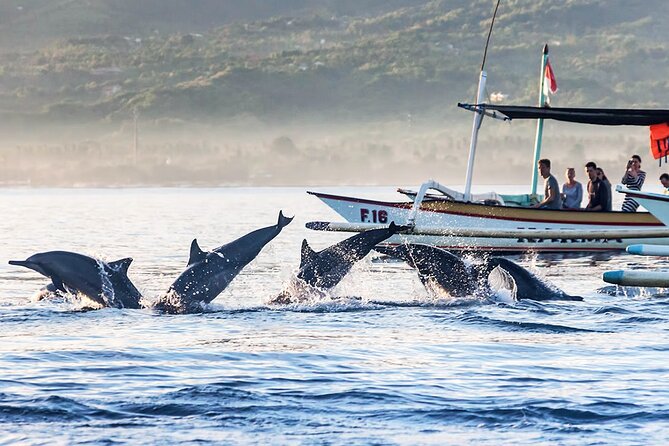 All inclusive Lovina Dolphins Sunrise tour, Waterfall & Temple - FAQ