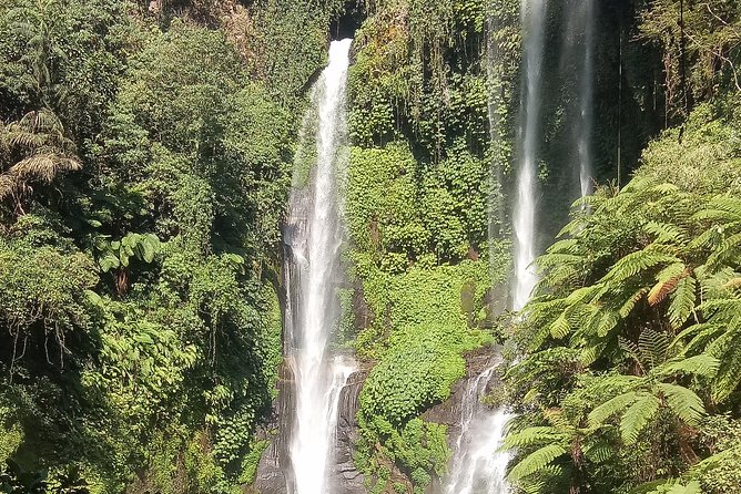 All Inclusive Sekumpul Waterfall Trekking , Handara Gate & Temple - The driver can make the long day easier
