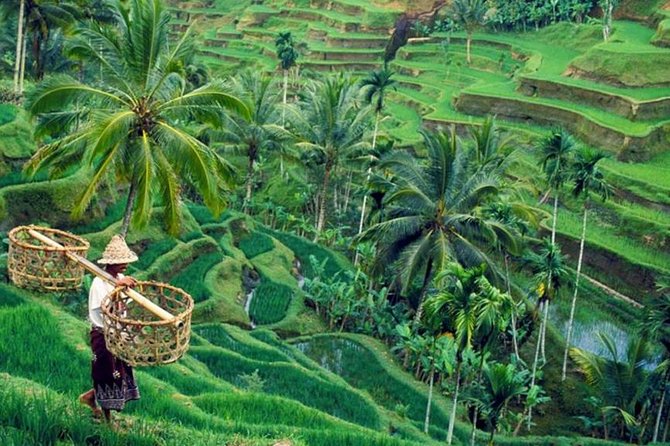 All inclusive Ubud private tour - Key points to know before booking