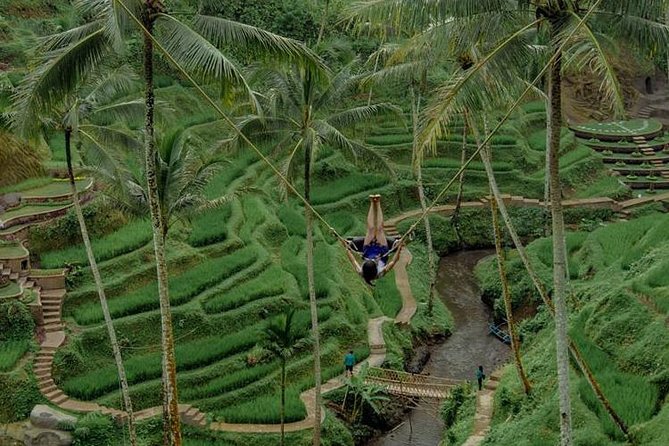All inclusive Ubud private tour - Tegalalang Rice Terrace and the farming view