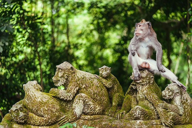 All inclusive Ubud private tour - Blangsinga Waterfall and the final photo stop