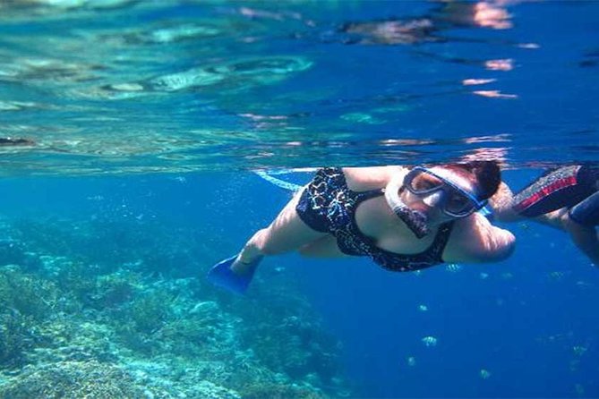 All Ticket Inclusive-Blue Lagoon Snorkeling-Ubud Monkey Forest & Ubud Waterfall - One day from Padangbai reef to Ubud jungle
