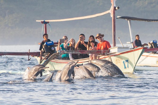 Amazing Private Tours: Dolphins Lovina and Gitgit Waterfall include Lunch - Reaching Lovina for the sunrise boat