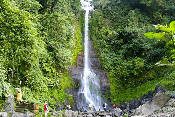 Amazing Private Tours: Dolphins Lovina and Gitgit Waterfall include Lunch - Lunch and Candikuning Market complete the day