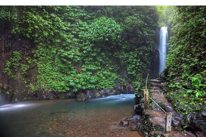 Amazing Private Tours: Dolphins Lovina and Gitgit Waterfall include Lunch - A private vehicle makes the long route easier