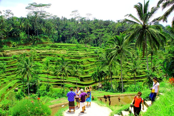 ATV Quad Bike with Kintamani Volcano Tour - All Inclusive - Lunch and the practical all-inclusive package