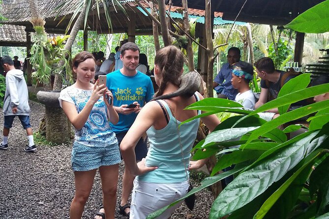 ATV Quad Bike with Kintamani Volcano Tour - All Inclusive - Is the $60 price good value?