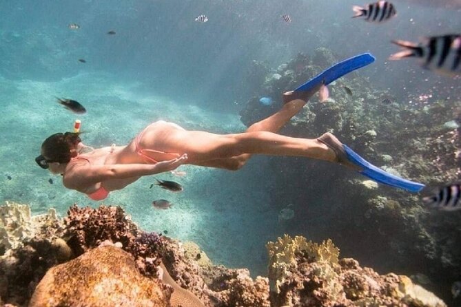 Bali ATV Quad Bike Adventure and Snorkeling Tour - Who will get the most from this day
