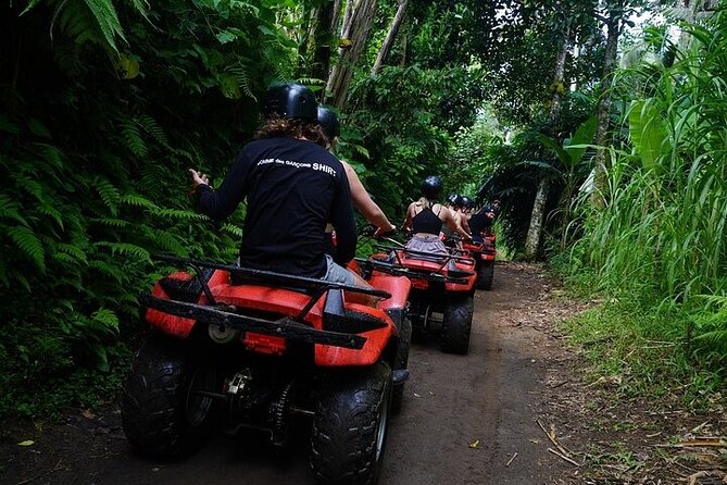 Bali ATV Quad Bike Adventure with Gorilla Cave Pass By Waterfall - Lunch, showers, and the value of the package
