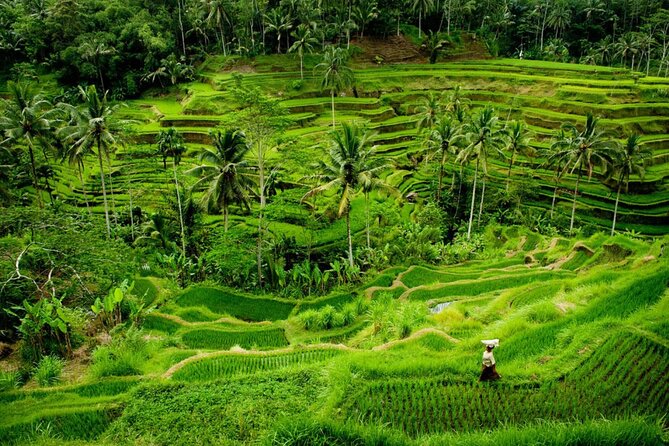 Bali Benoa Shore Excursion for Cruise's Passenger - All Inclusive - Bali Bidadari Batik and the final craft lesson