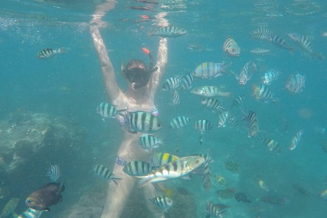 Bali Best Snorkeling at Blue Lagoon - How the private format changes the day