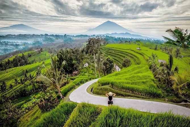 Bali BEST Things to Do Private Full-day Tour from Your Hotel - Northern and western options need careful planning