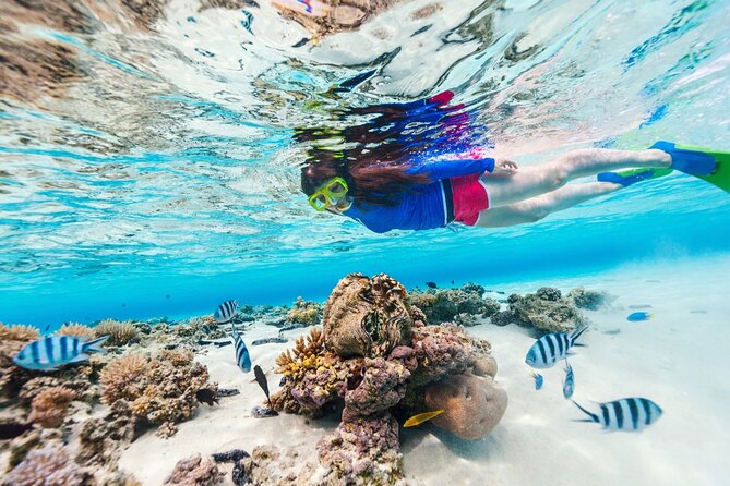 Bali Blue Lagoon Snorkeling with Private Transfer and Lunch - Booking, cancellation, and practical planning