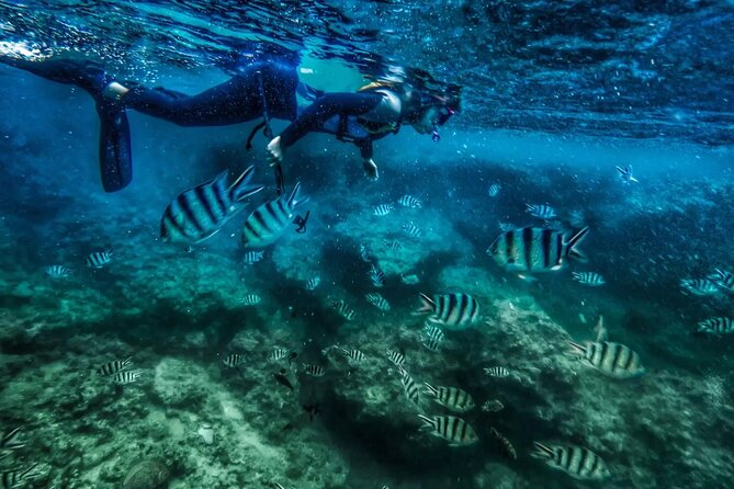 Bali Blue Lagoon Snorkeling with Private Transfer and Lunch - A guide who keeps the water manageable