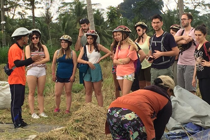 Bali Countryside Cycling Tour by Halo Bike Tour - What the $65 price includes