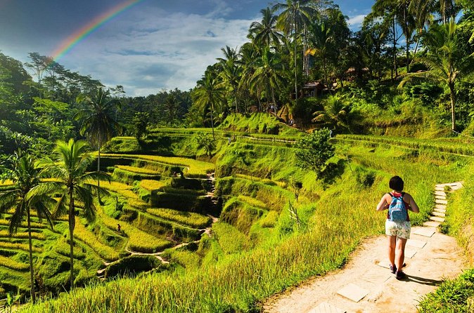 Bali Cultural Experience - Is $59 good value for this Bali outing?