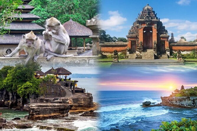Bali Day Trip: Bali Instagram Tour (All Inclusive & Private) - The Bali swing and bird nest photo stop