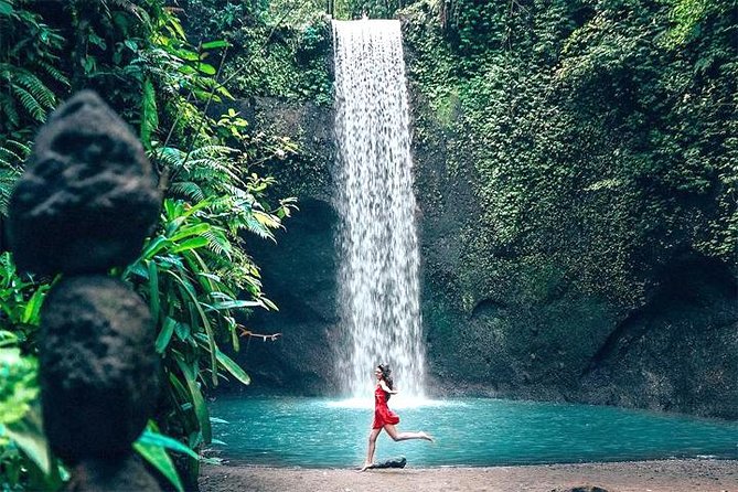 Bali Day Trip: Ubud Temples & Hidden Waterfalls - Tegalalang Rice Terrace and the Classic Ubud View