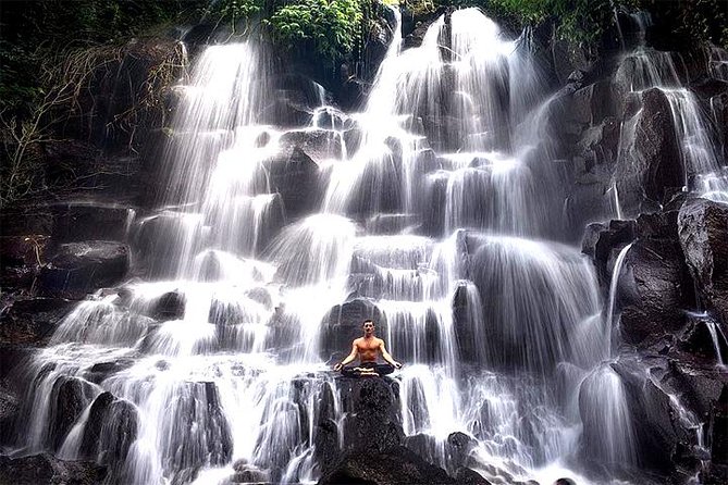 Bali Day Trip: Ubud Temples & Hidden Waterfalls - Who Will Enjoy This Bali Day Trip?