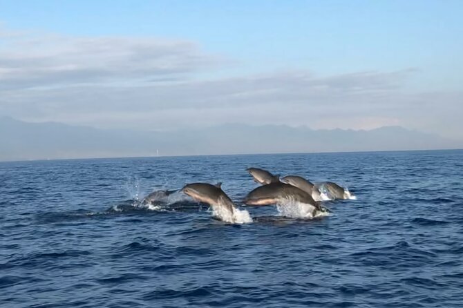 Bali Dolphin Lovina tour and Ulundanu Beratan - Lovina Beach and the morning dolphin boat