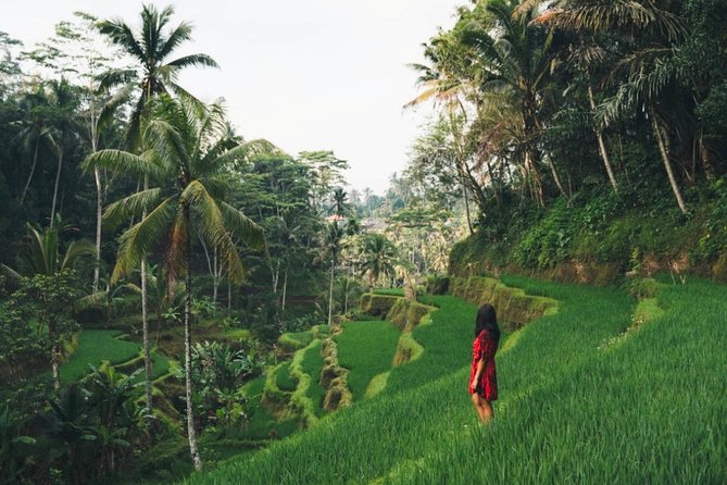 Bali Full-Day Sightseeing Trip with Lunch - Celuk Village and Bali’s jewelry tradition