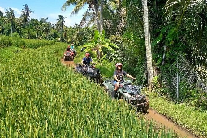 Bali Full-Day Tours : Waterfall and Ubud Destination Trip - Ubud Royal Palace and the center of town