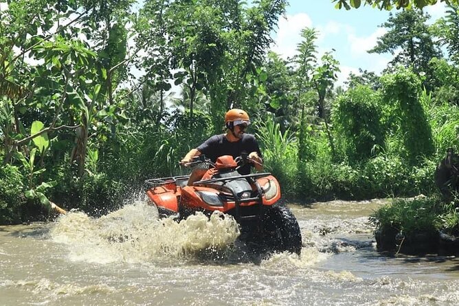 Bali Fun Ride Quad Bike ATV and Waterfall Tour - Starting in Silakarang village