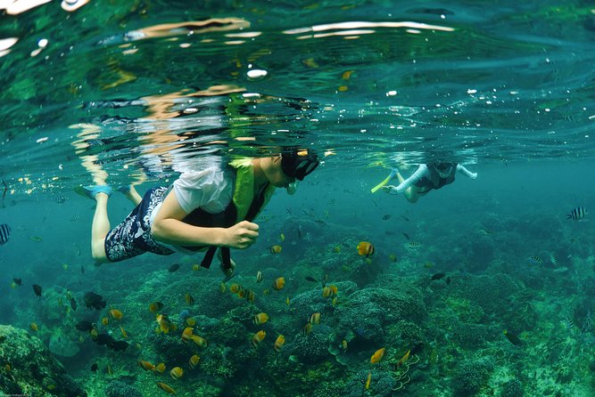 Bali Hai - Reef Cruise - Reef viewing, conservation, and the village tour