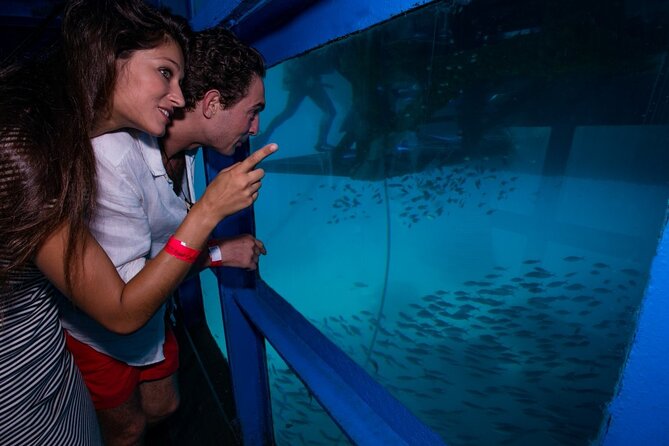 Bali Hai - Reef Cruise - Lunch, refreshments, and what is included