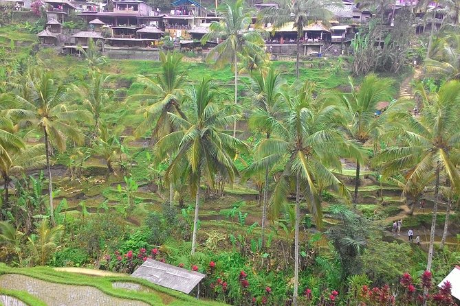 Bali Hindu temple, Rice terrace, Waterfall -All Inclusive - Starting from Tanjung Benoa or the cruise port