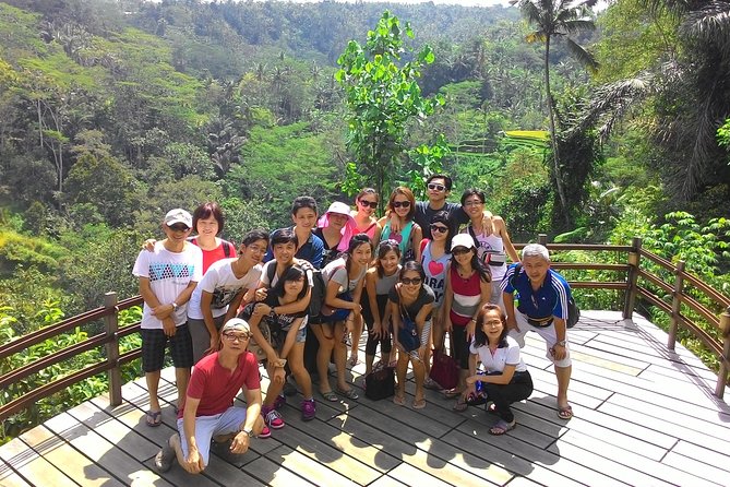 Bali Hindu temple, Rice terrace, Waterfall -All Inclusive - Indonesian lunch above the river valley
