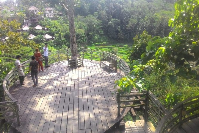 Bali Hindu temple, Rice terrace, Waterfall -All Inclusive - Celuk and Bali’s living craft traditions