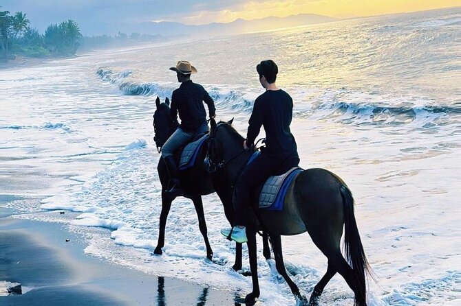 Bali Horse Riding Trot & Canter Saba Beach with Local Temple - What the one-hour experience is likely to feel like