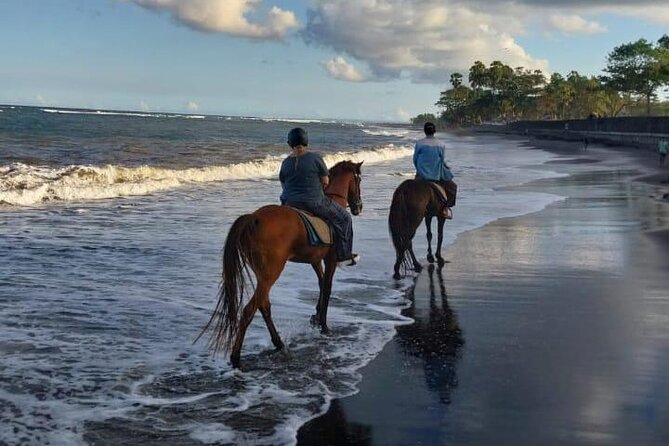 Bali Horse Riding Trot & Canter Saba Beach with Local Temple - Riding the black-sand shoreline