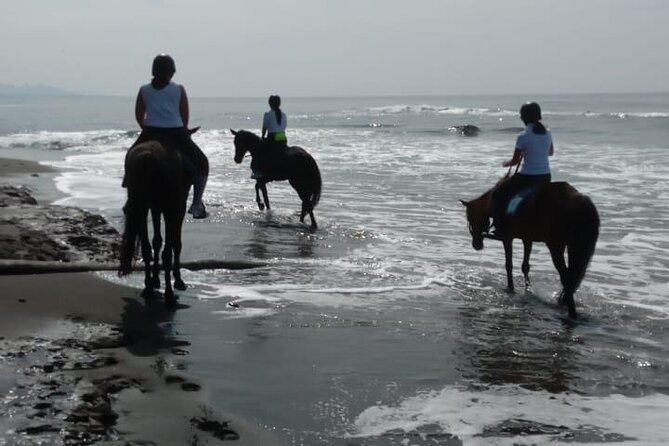 Bali Horse Riding Trot & Canter Saba Beach with Local Temple - Is the $39 price good value?