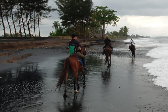Bali Horse Riding Trot & Canter Saba Beach with Local Temple - Families, beginners, and riding limits