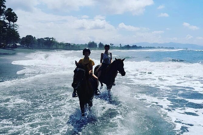 Bali Horse Riding Trot & Canter Saba Beach with Local Temple - Meeting the horses and getting ready at Jalan Pantai Saba