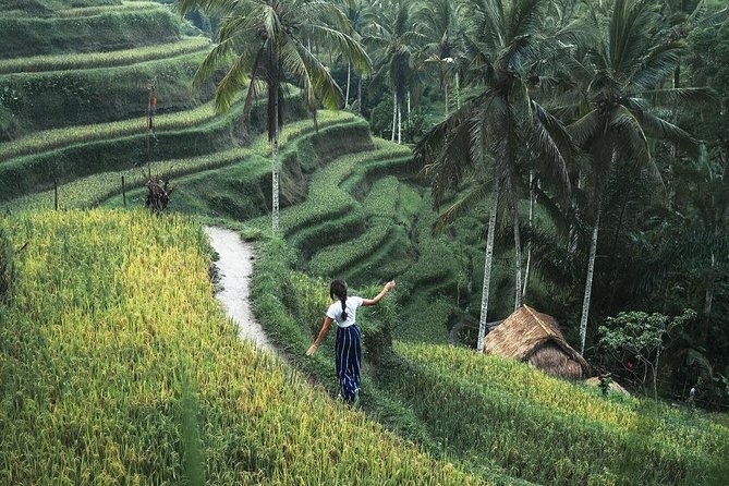 Bali Instagram Tour from Your Hotel (Private & Full-day) - Tukad Cepung, Kanto Lampo, and Tibumana waterfalls
