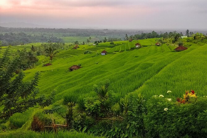 Bali Instagram Tour - Lempuyang Bali Gate of Heaven - Who will enjoy this tour most