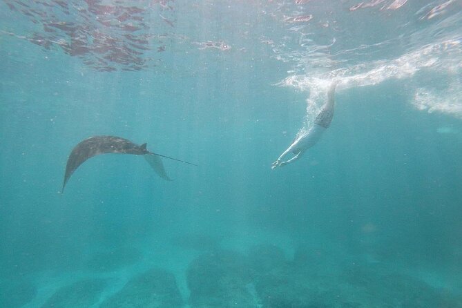 Bali Nusa Penida and Private Snorkeling (Manta Bay, Gamat, Wall) - Why this Nusa Penida day works so well